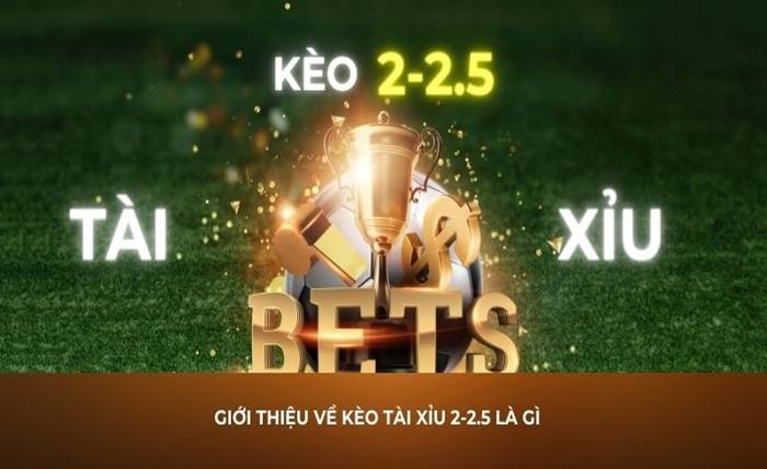 What is the Over/Under 2-2.5 Odds? Instructions on How to Read Odds and Place Bets Effectively 6